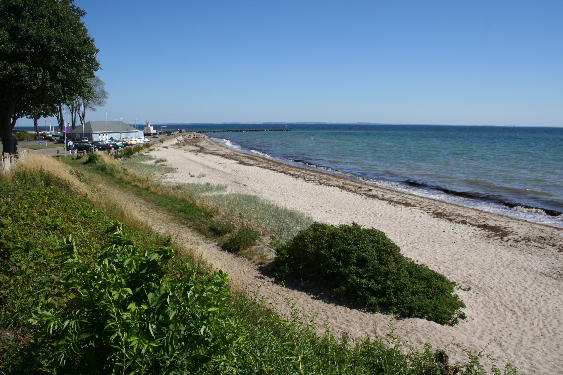 Åls - Strand Mommark | FISHMAPS - Angelführer Dänemark