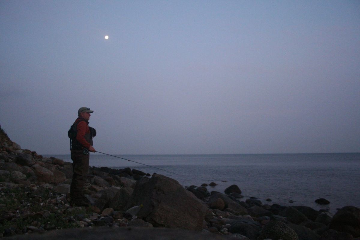 Vollmond über Fyns Hoved - und vor den Füßen jagen die Meerforellen!
