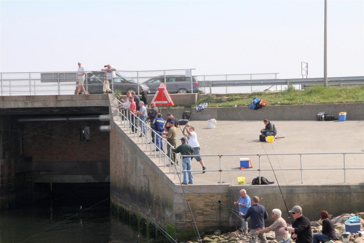 Heringsangeln an der Schleuse in Hvide Sande