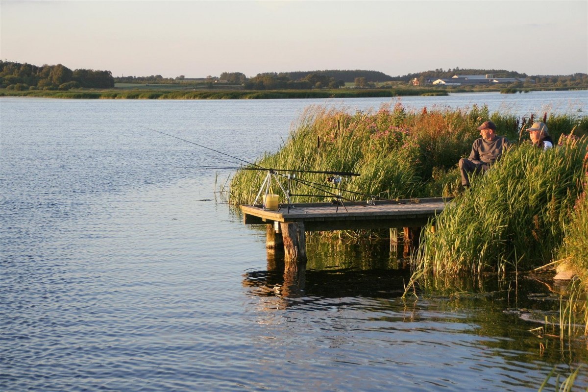 Aalangeln in Dänemark am Vilsted See