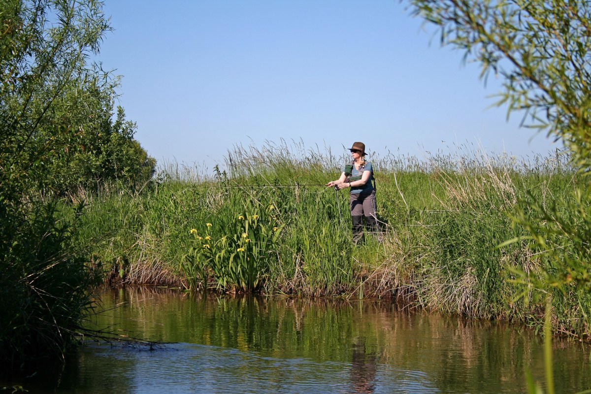 Fliegenfischen an der Arnå in Dänemark