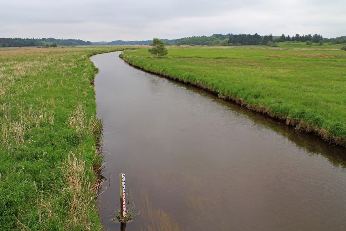 Die Fiskbæk Å in Dänemark