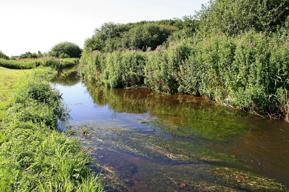 Die Kastbjerg Å am Mariagerfjord