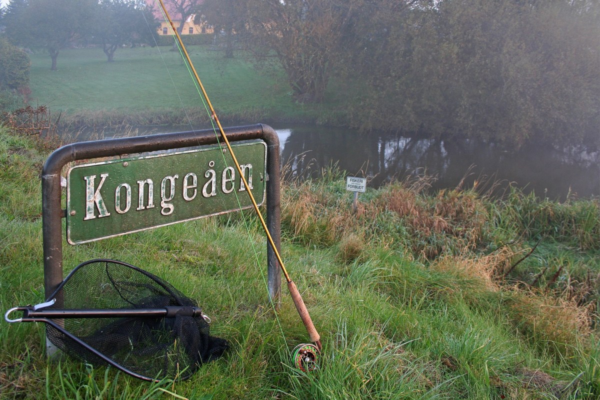 Angeln in der Kongeå bei Foldingbro