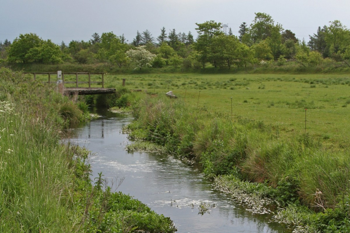 Die Terkelsbøl Å in Südjütland