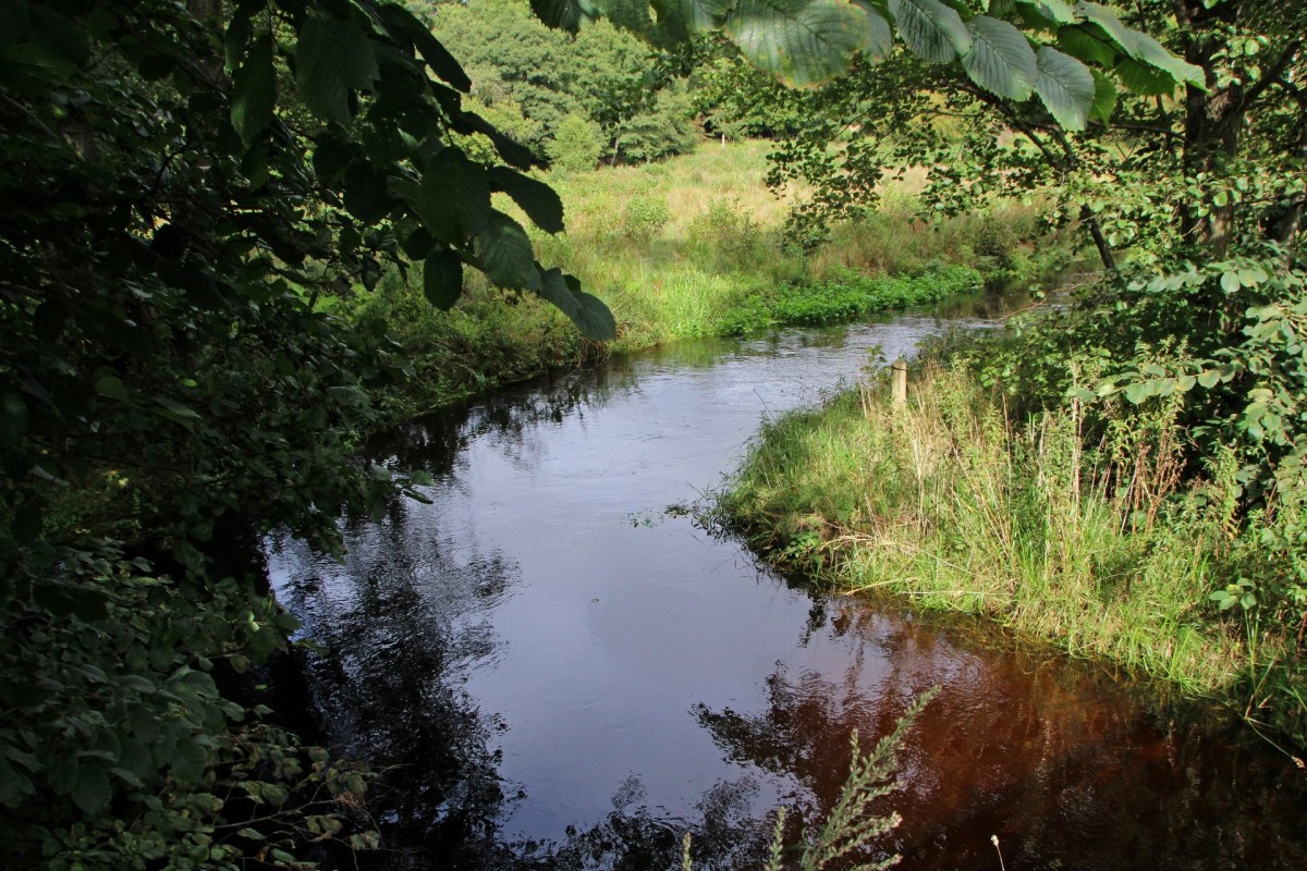 Die Villestrup Å am Mariagerfjord