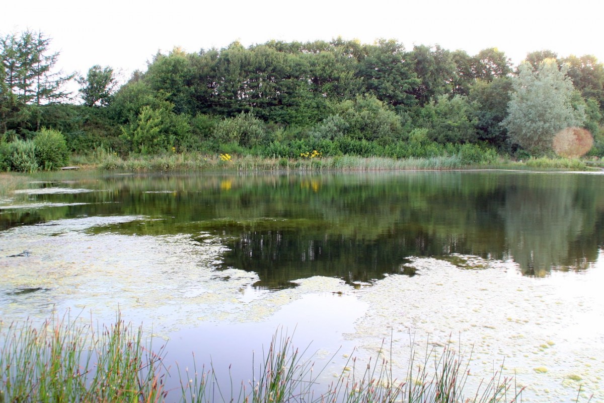 Put and Take-See Blokhus Fiskepark in Dänemark