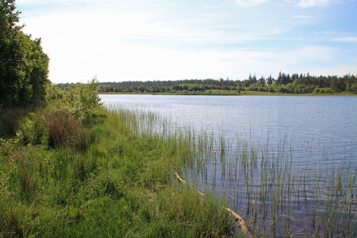 Der Præstesøen bei Oksbøl