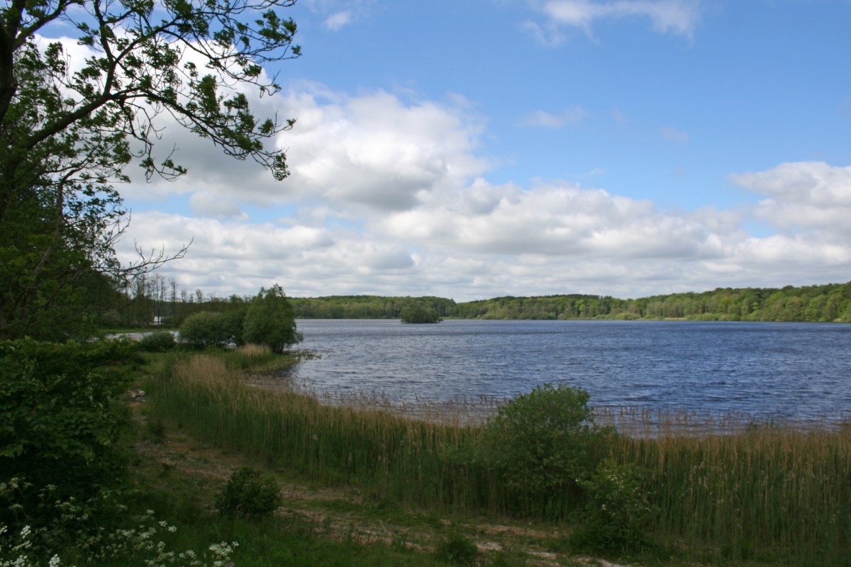 Der Store Søgård Sø in Südjütland