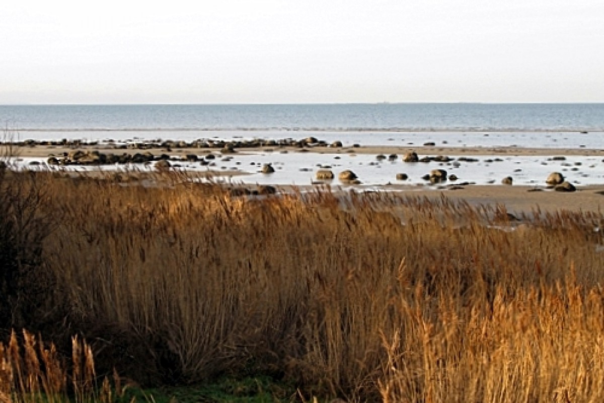Angelplatz  Horneks Odde auf Læsø