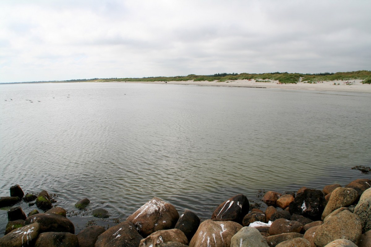 Angelplatz Ålbæk Süd-Mole