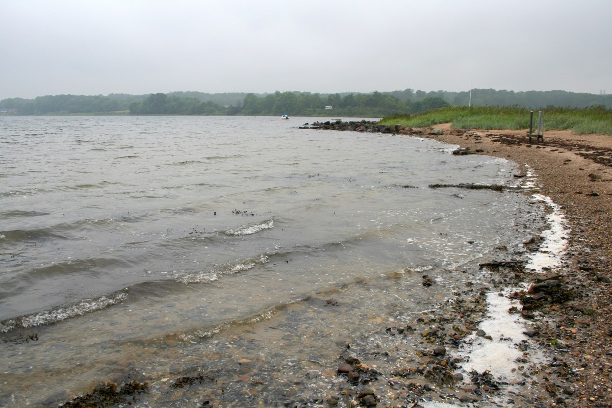 Angelplatz Rønshoved an der Flensburger Förde