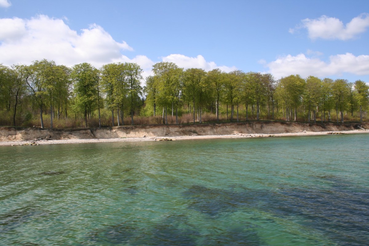 Angelplatz Teglværksskov auf Fünen