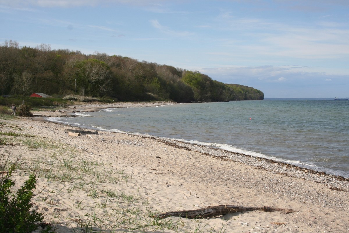 Angelplatz Vejlbyskov auf Fünen