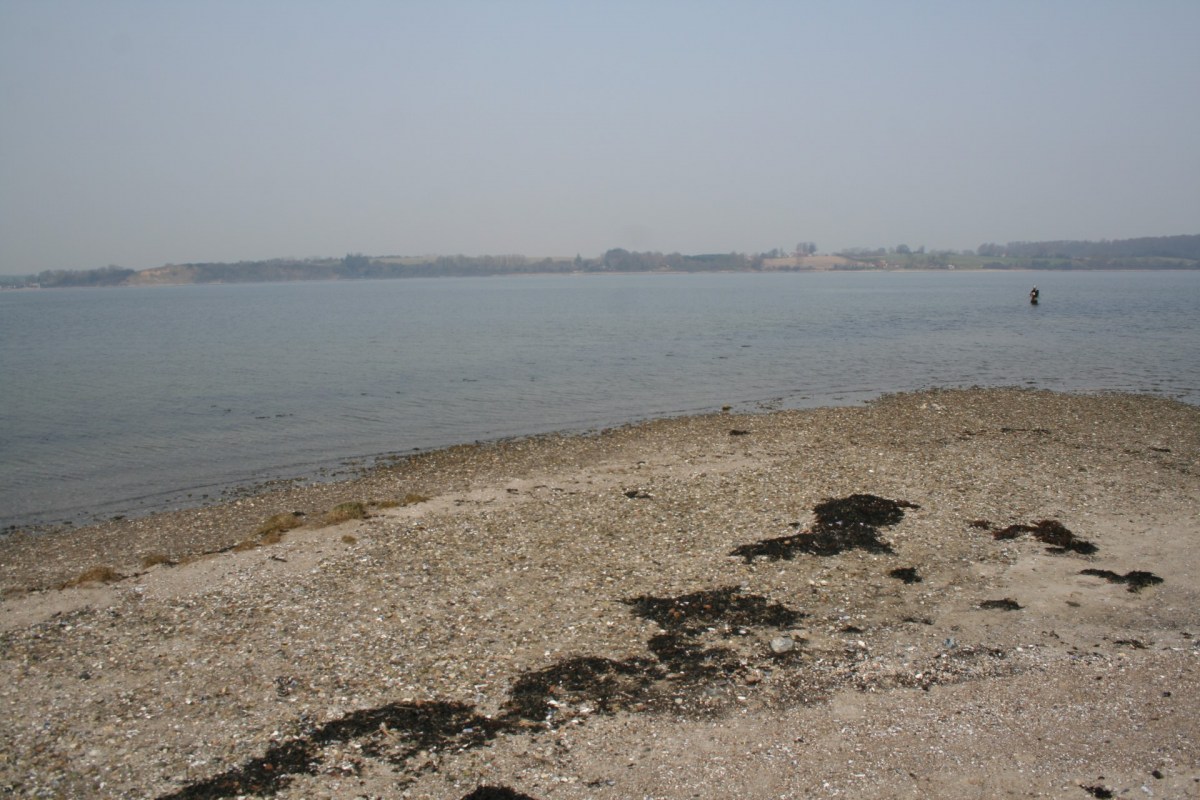 Angelplatz Sandskær in der Genner Bucht