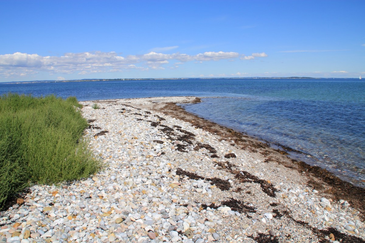 Angelplatz Næbbet auf Ærø