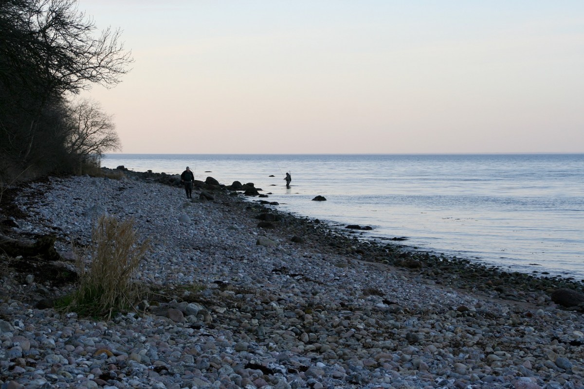 Angelplatz Ertebjerg auf der Insel Als