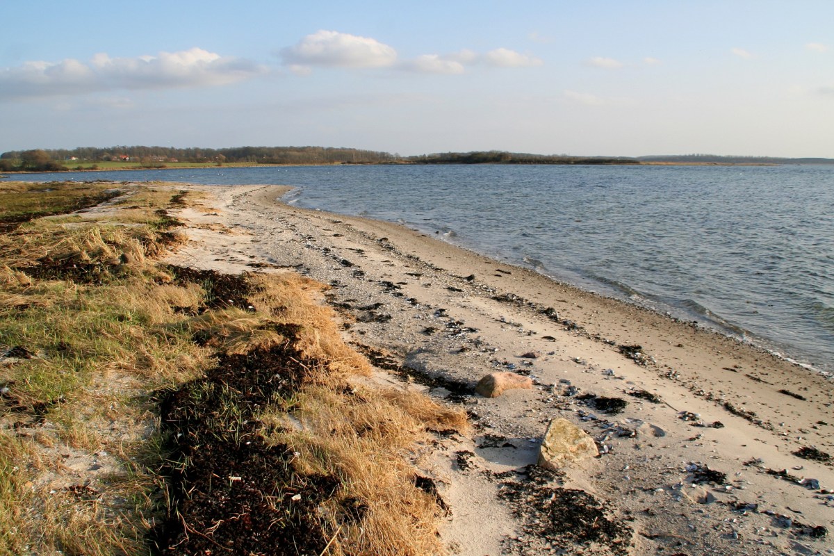 Angelplatz Sebbelev Mark auf der Insel Als