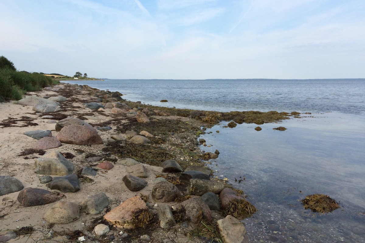 Angeln auf Langeland bei Emmerbølle