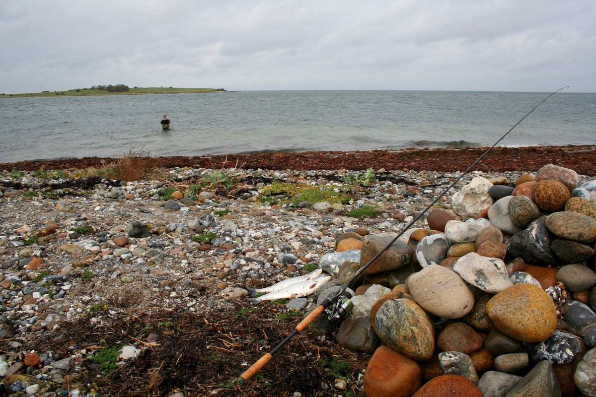 Angelplatz Havnehagen am Besser Rev auf Samsø