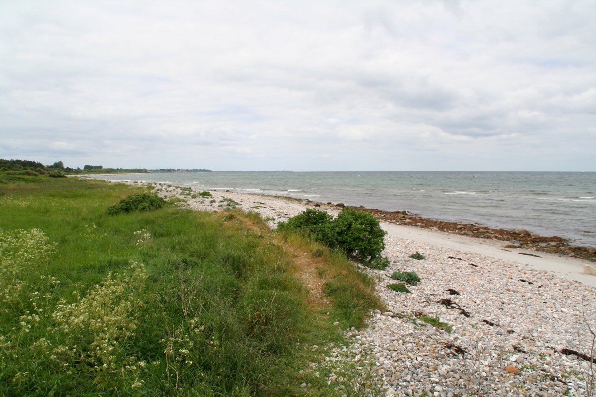 Angelplatz Overby Lyng auf Sjællands Odde