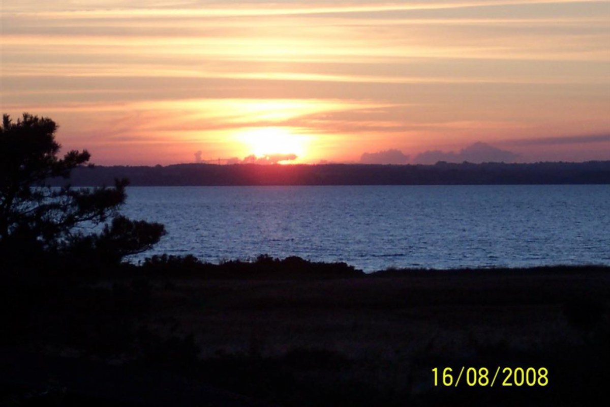 101_2124a.JPG