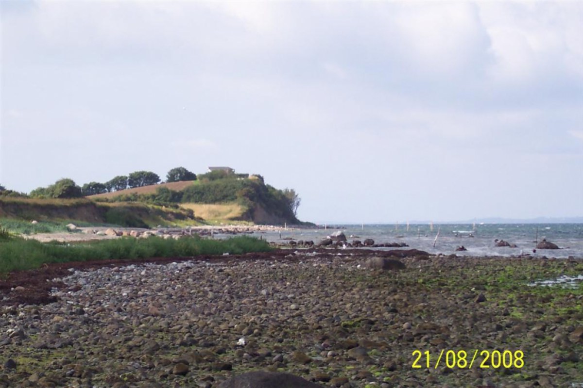 101_2152a.JPG