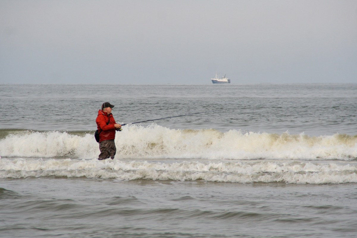 Angeln an der Nordsee zwischen Blavand und Henne Strand