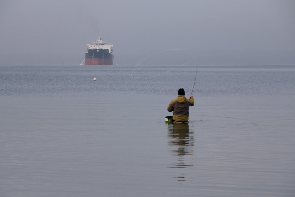 Erst Schiff, dann Fisch? Begegnungen beim Meerforellenangeln an der Nordküste der Halbinsel Asnæs Meerforellenangeln bei Asnæs im Kalundborg Fjord
