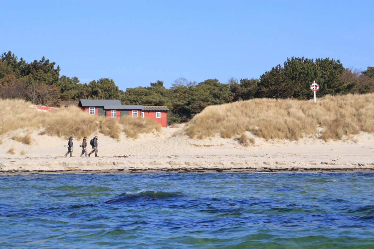 Meerforellenangeln auf Bornholm an der Südküste