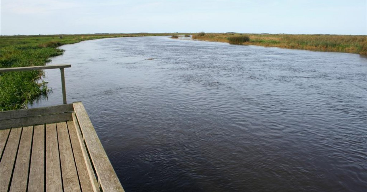 Skjern Å (Skjern) FISHMAPS Angelführer Dänemark