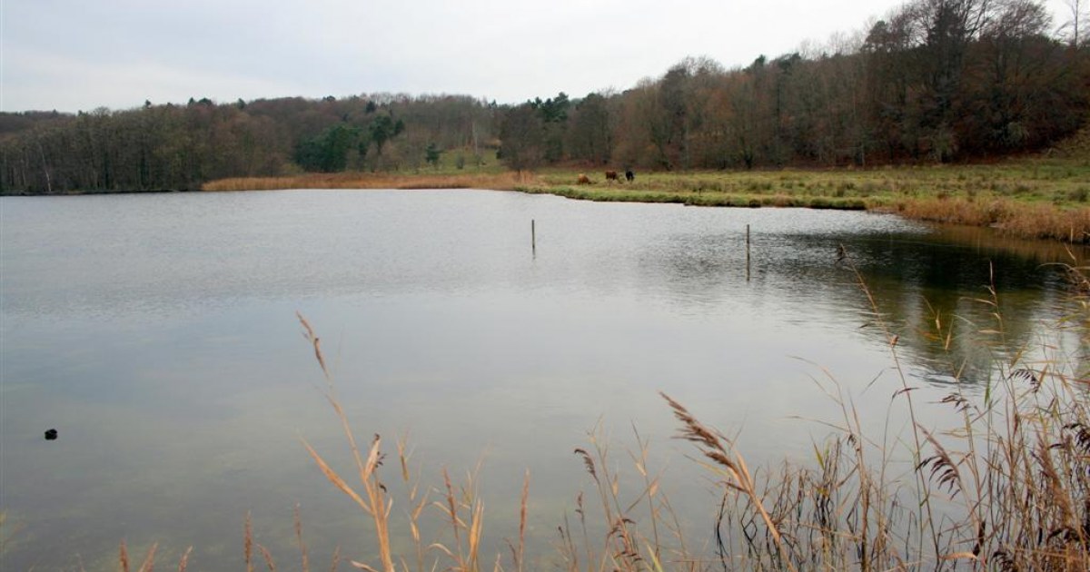 Kielstrup Sø | FISHMAPS - Angelführer Dänemark