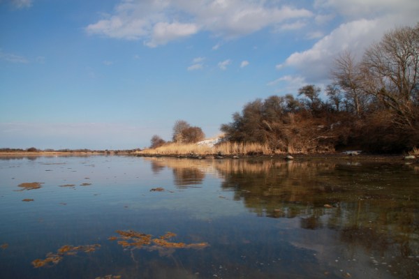 Angelplatz Sebbelev Skov auf der Insel Als