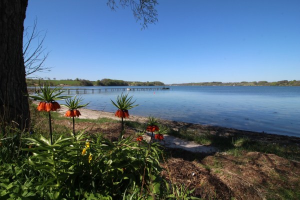 Angelplatz Agtrup Vig im Koldingfjord