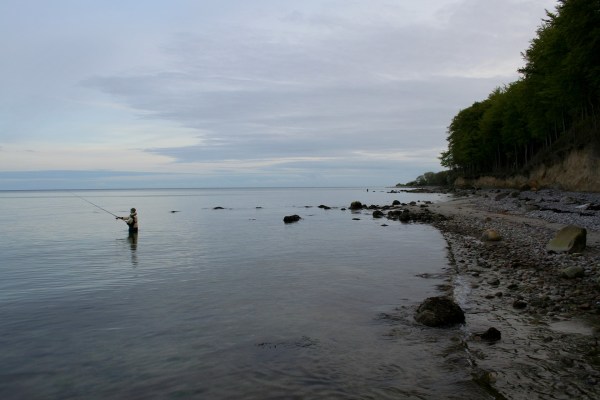 Angeln auf Langeland vor Bovballe Skov