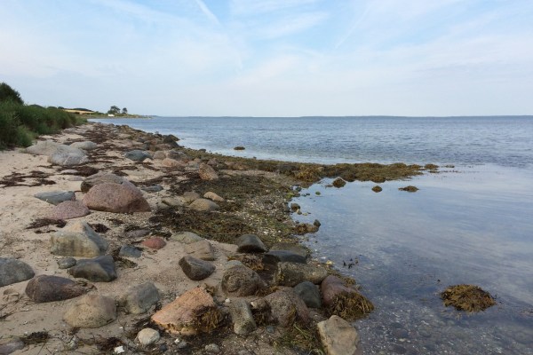Südlich des Campingplatzes wird's für Angler allmählich interessanter Angeln auf Langeland bei Emmerbølle