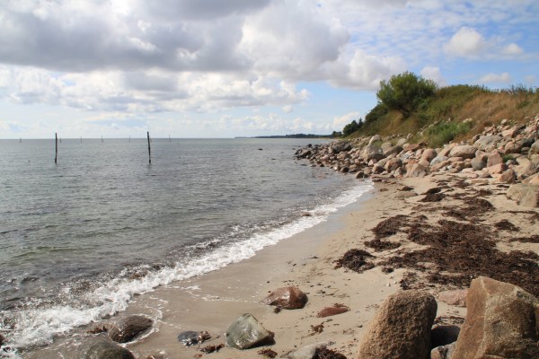 Kein Angler weit und breit? Dann mal los ...! Angelplatz auf Langeland Stengade Strand