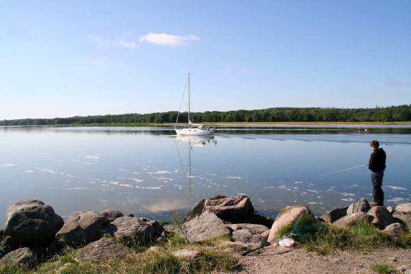 Angeln direkt an der Fahrrinne: bequemer geht's nicht! Angelplatz Havnø Mole im Mariager Fjord