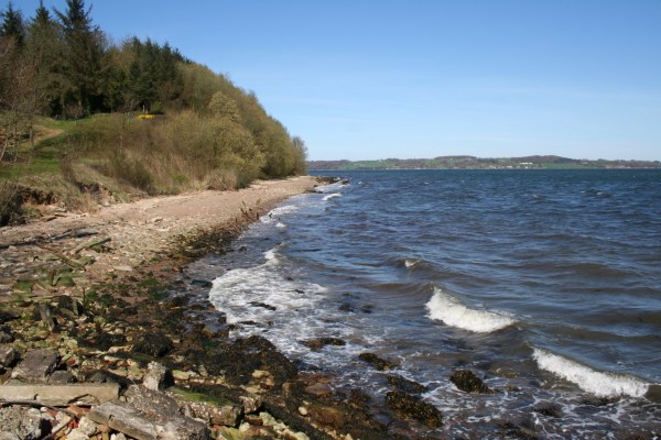 Angelplatz Brejning Hoved am Vejle Fjord