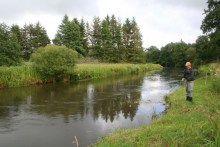 Die Skjern Au: berühmter dänischer Lachsfluss