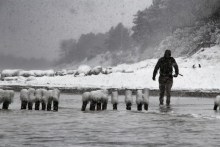 Meerforellenangeln im Winter auf Møn
