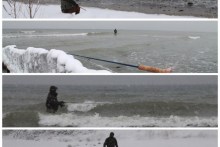 Meerforellenangeln auf Møn bei Eis und Schnee