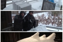 Meerforelle aus Schnee