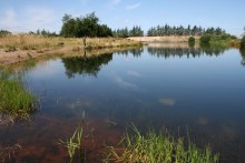 Forellensee Terkelsbøl Lystfiskeri in Dänemark