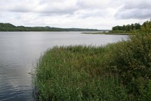 Der Birksø in der Silkeborger Seeplatte