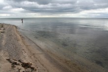 Meerforellenangeln bei Halk Strand