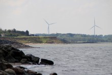 Angelplatz Handbjerg Strand an der Venø-Bucht im Limfjord