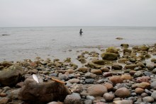 Meerforellenangeln bei Ålebæk Strand auf Møn