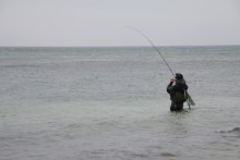 Meerforellenangeln bei Ålebæk Strand auf Møn