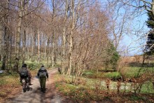 Weg zum Angelplatz Pomlerende auf Møn